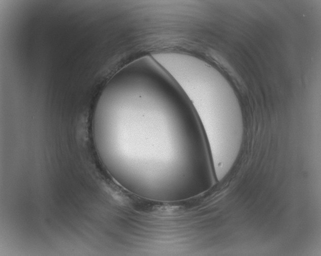 X0000069830497200605190945