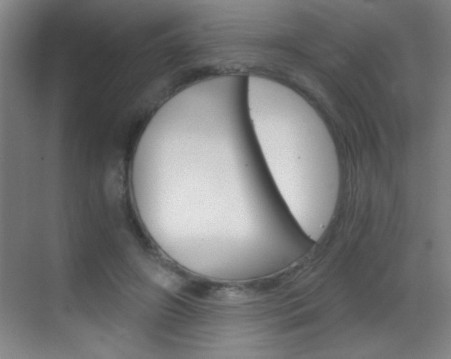 X0000069830498200605190945