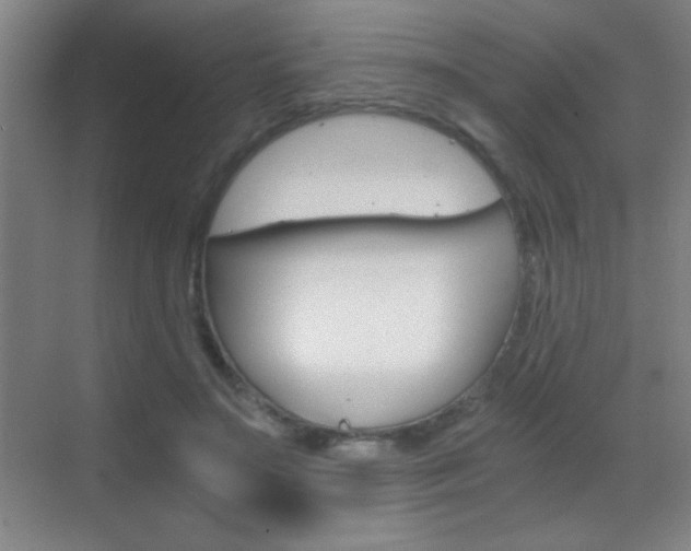 X0000069830499200605190945