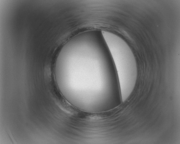 X0000069830500200605190945