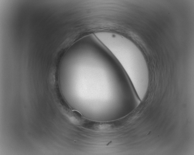 X0000069830501200605190945