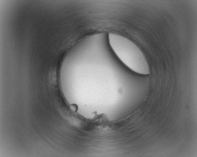 X0000069830502200605190945