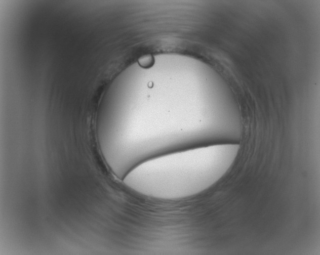 X0000069830503200605190945