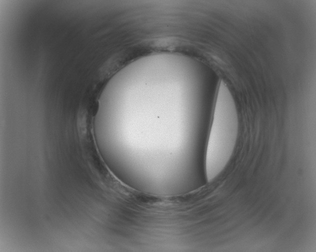 X0000069830504200605190945