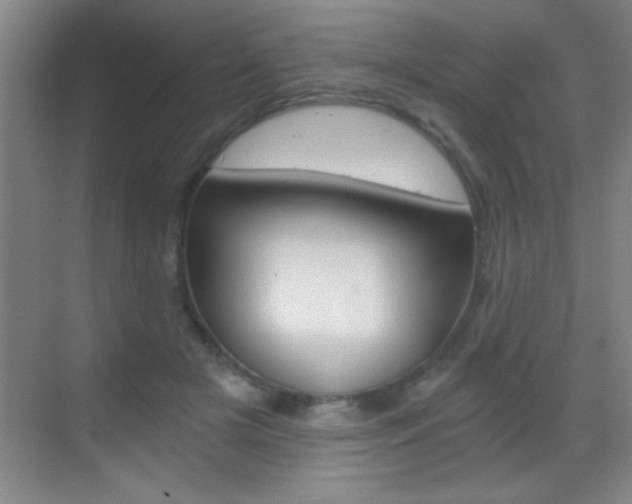 X0000069830505200605190945