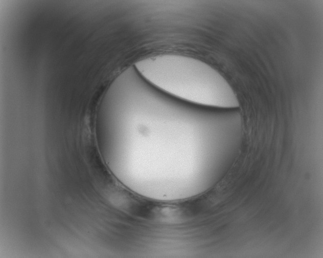 X0000069830506200605190945