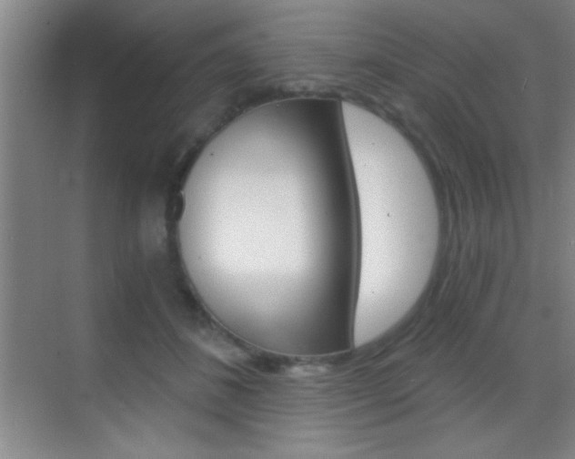 X0000069830508200605190945