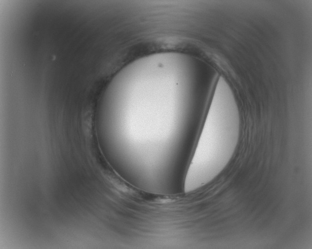 X0000069830509200605190945