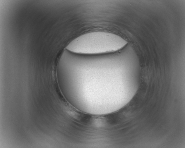 X0000069830510200605190945