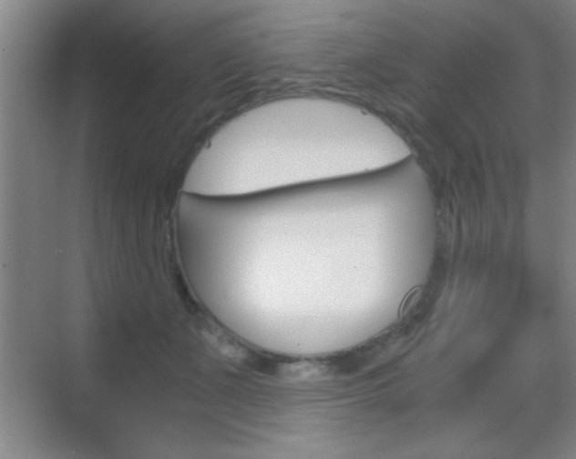 X0000069830511200605190945