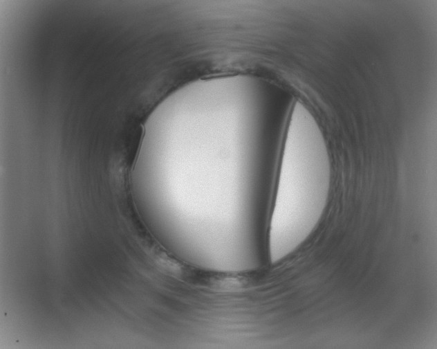 X0000069830513200605190945