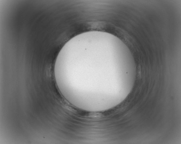 X0000069830514200605190945