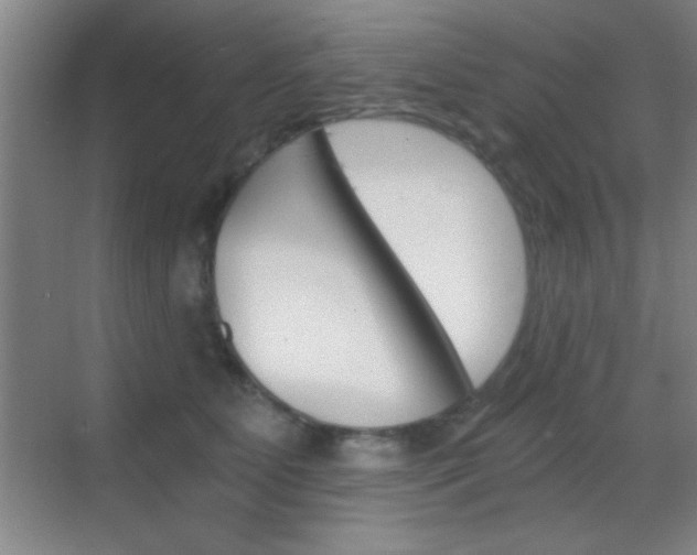 X0000069830515200605190945