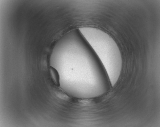 X0000069830516200605190945