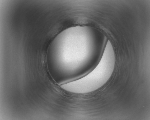 X0000069830517200605190945