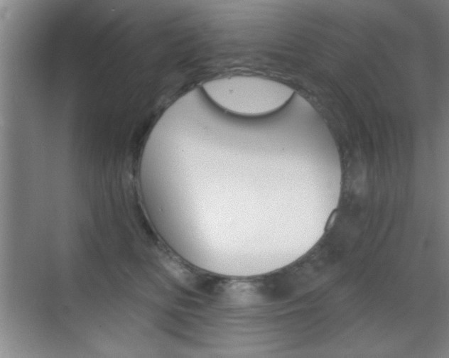 X0000069830518200605190945