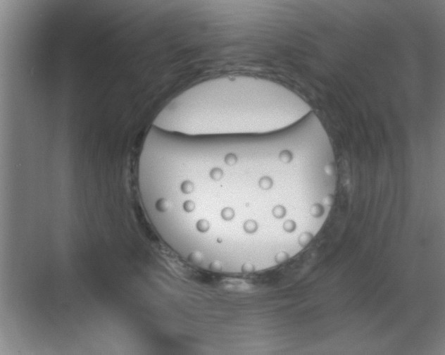 X0000069830519200605190945