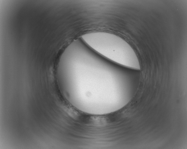 X0000069830520200605190945