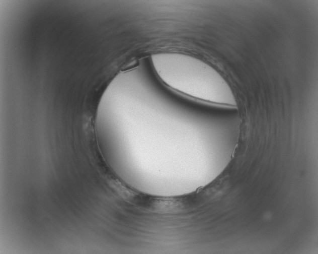 X0000069830521200605190945