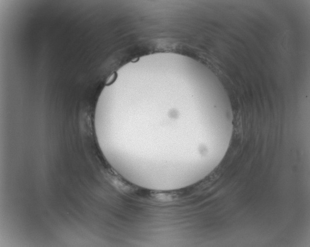 X0000069830522200605190945