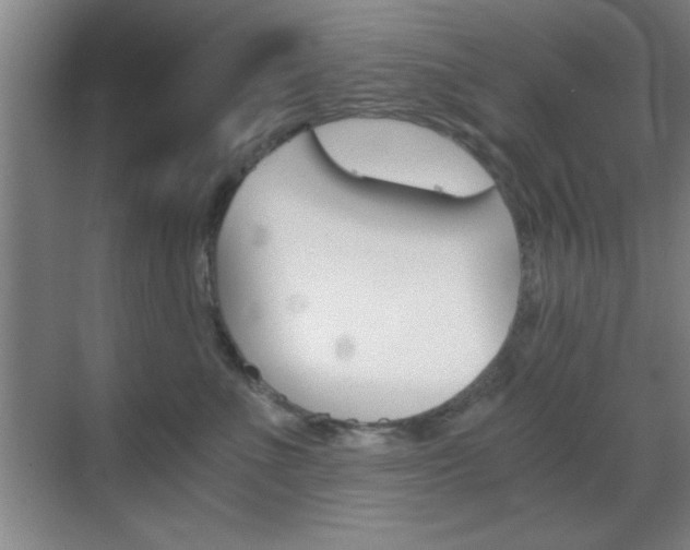 X0000069830523200605190945