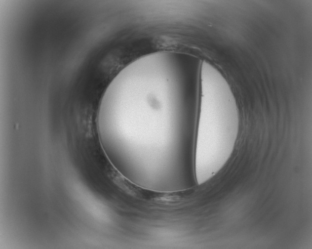 X0000069830525200605190945