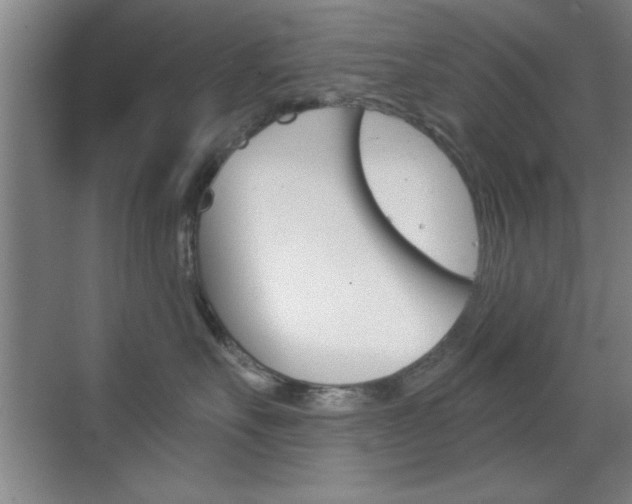 X0000069830527200605190945