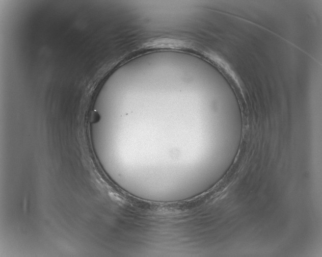 X0000069830529200605190944