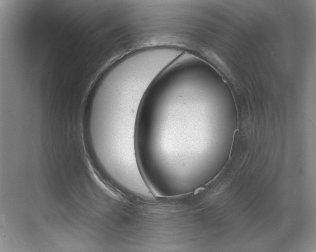 X0000069830530200605190944