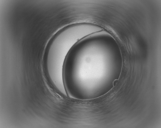 X0000069830532200605190944