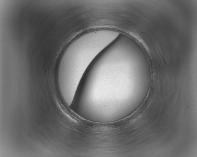 X0000069830533200605190944