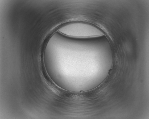 X0000069830535200605190944