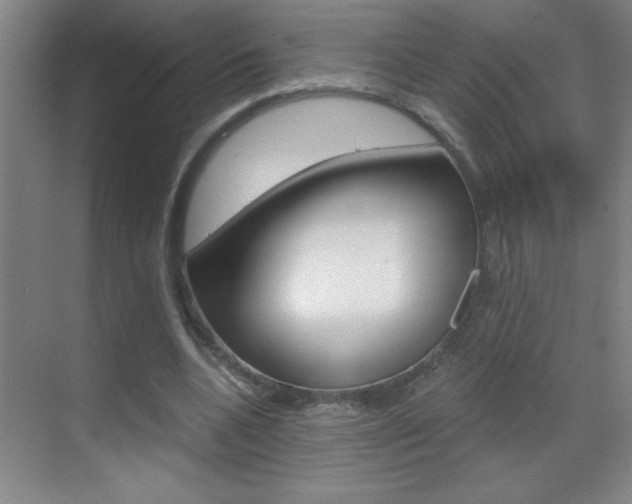 X0000069830536200605190944