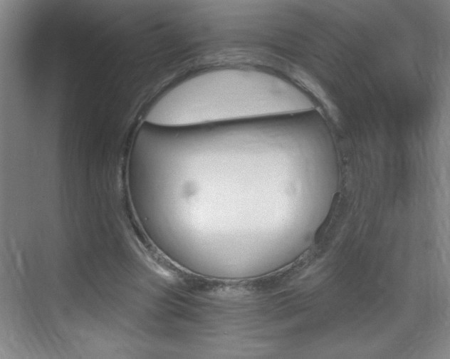 X0000069830537200605190944