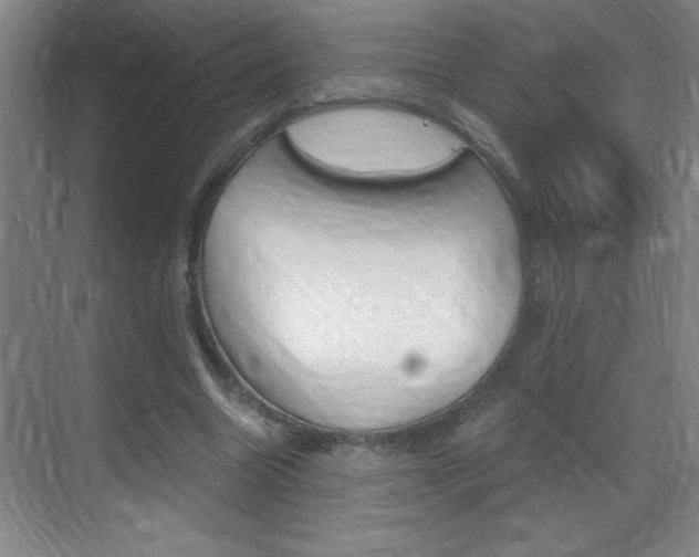 X0000069830538200605190944