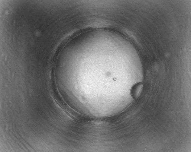 X0000069830539200605190944