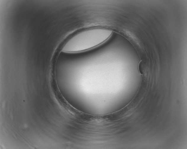 X0000069830540200605190944