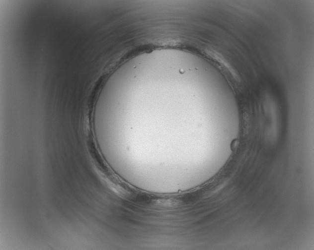 X0000069830541200605190944