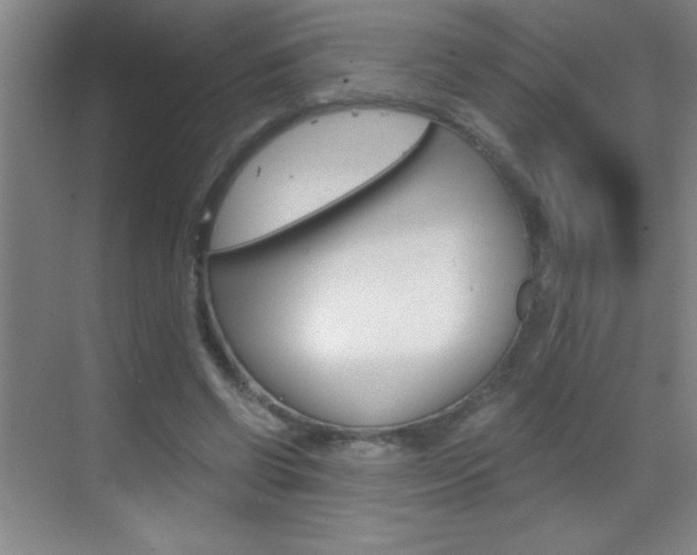 X0000069830542200605190944