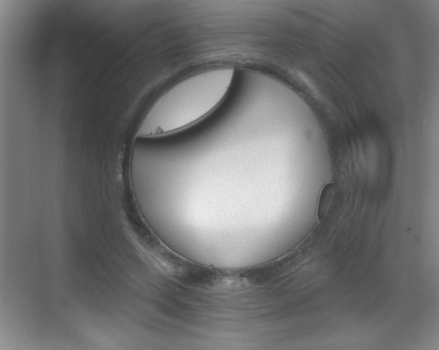 X0000069830543200605190944