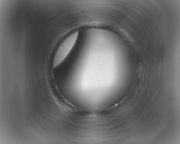 X0000069830544200605190944