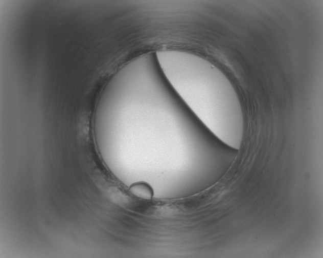 X0000069830545200605190944