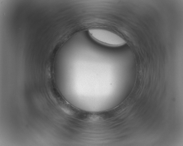 X0000069830547200605190944