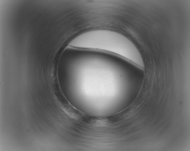 X0000069830548200605190944