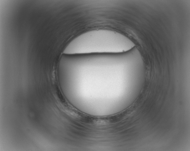 X0000069830549200605190944