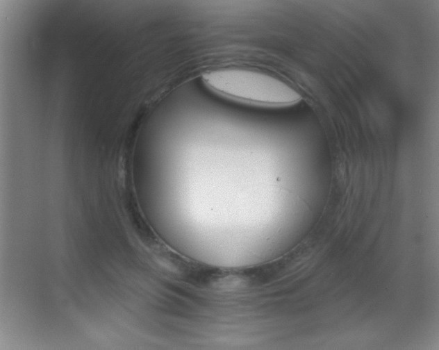 X0000069830551200605190944