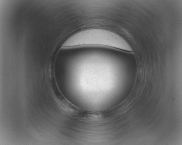 X0000069830552200605190944