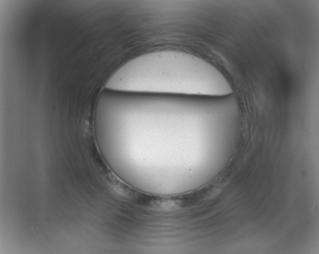 X0000069830553200605190945