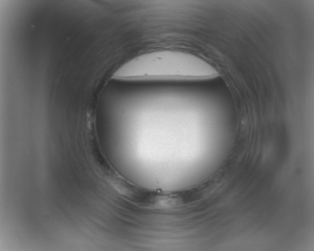 X0000069830555200605190945