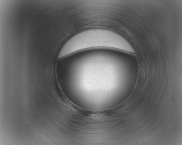 X0000069830556200605190945